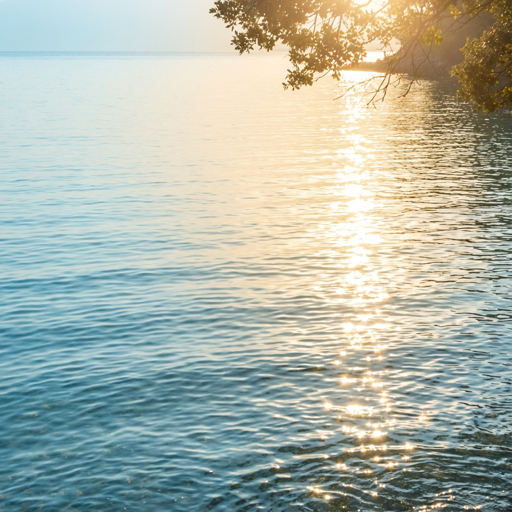 自然な光が差し込む水面の輝き